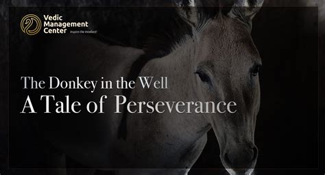  The Renowned Donkey: A Tale of Perseverance, Stubbornness, and Unexpected Wisdom!